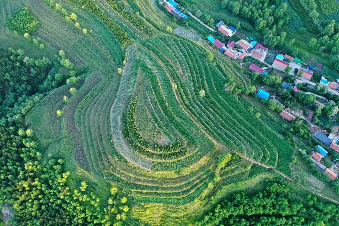 生態(tài)系統(tǒng)健康和管理——加強(qiáng)生態(tài)技術(shù)和工程管理，促進(jìn)生態(tài)系統(tǒng)健康發(fā)展